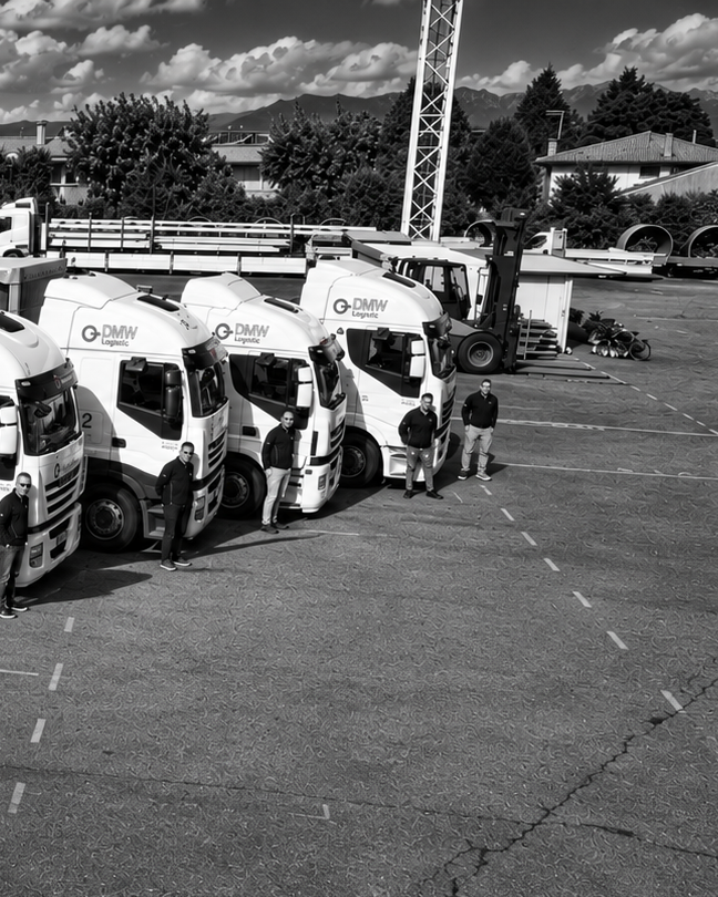 DMW Logistic